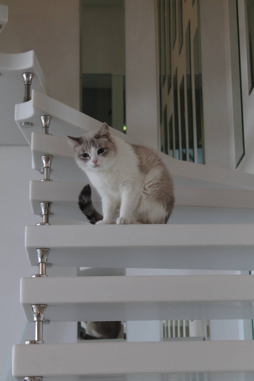 Лестница в малом пространстве в стиле Хай-тек