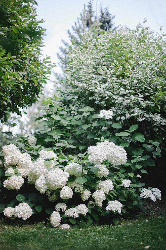 В гостях: «Теория комнат» в саду декоратора Анны Муравиной