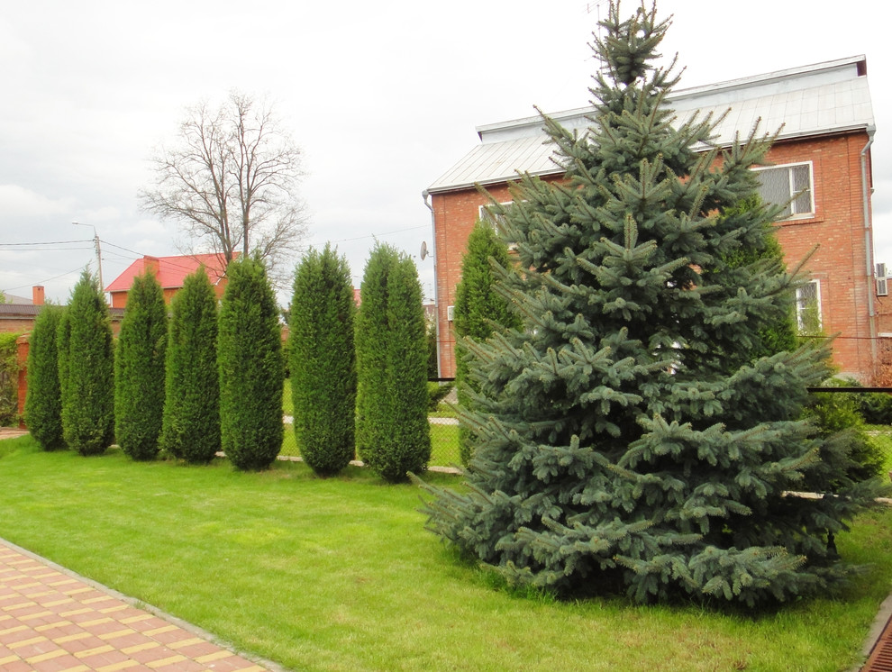 Ландшафт пос. Камышеваха