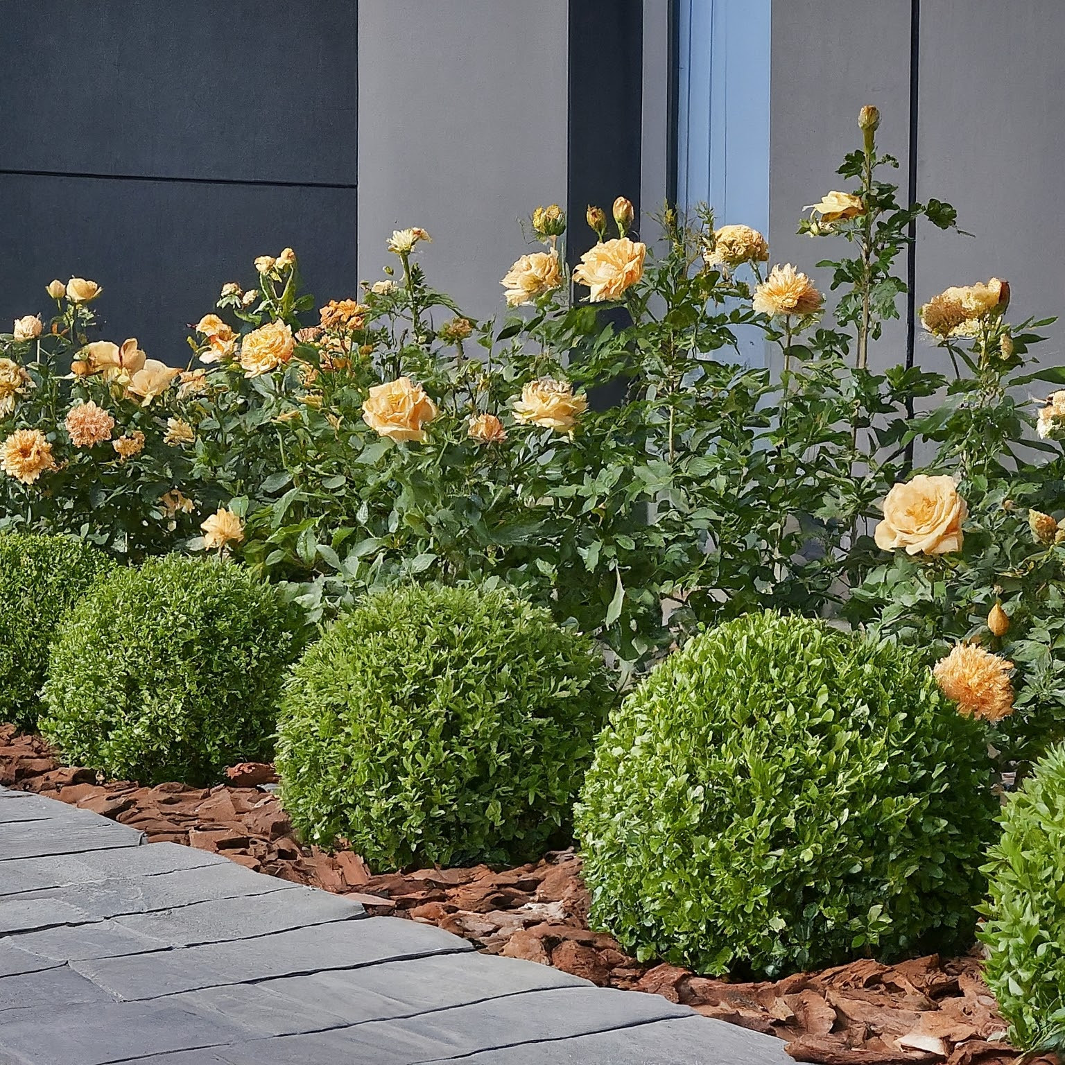 Обложка проекта: Частный сад 2. Современный