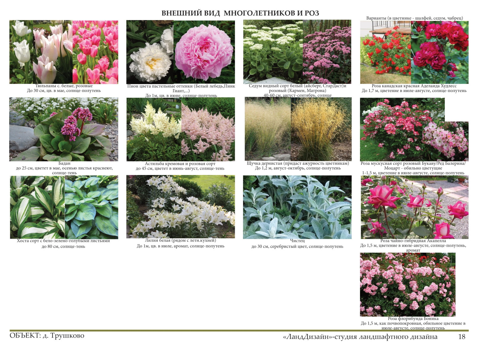 Проект ландшафтного дизайна