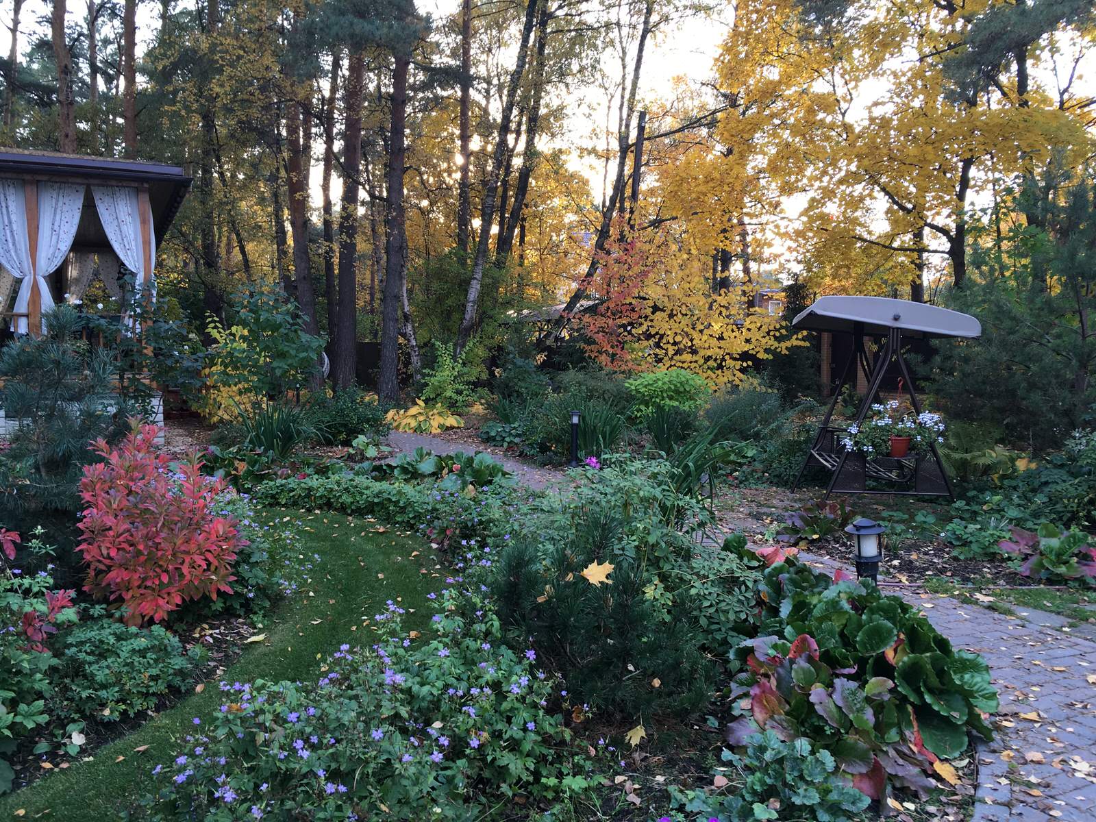 Белкин сад. Осень 2019