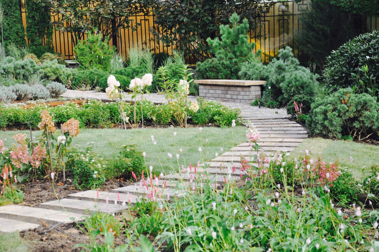 Обложка проекта: Куркино