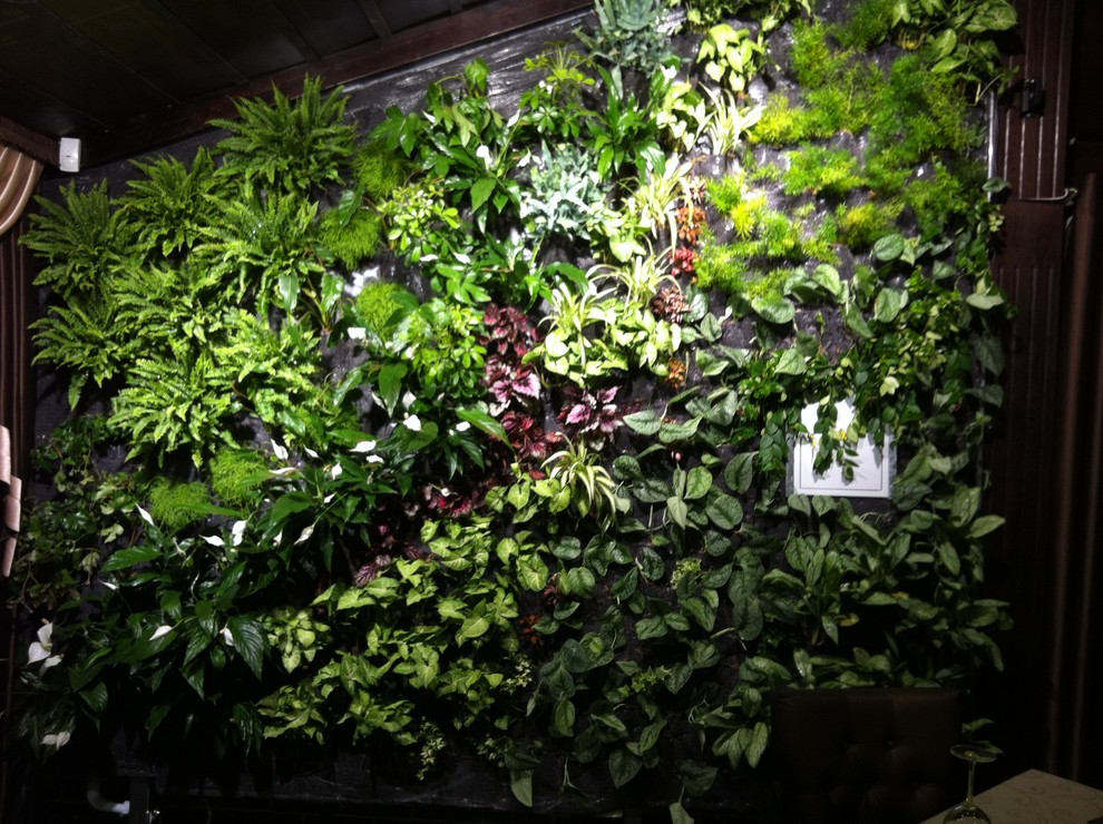 Вертикальные сады