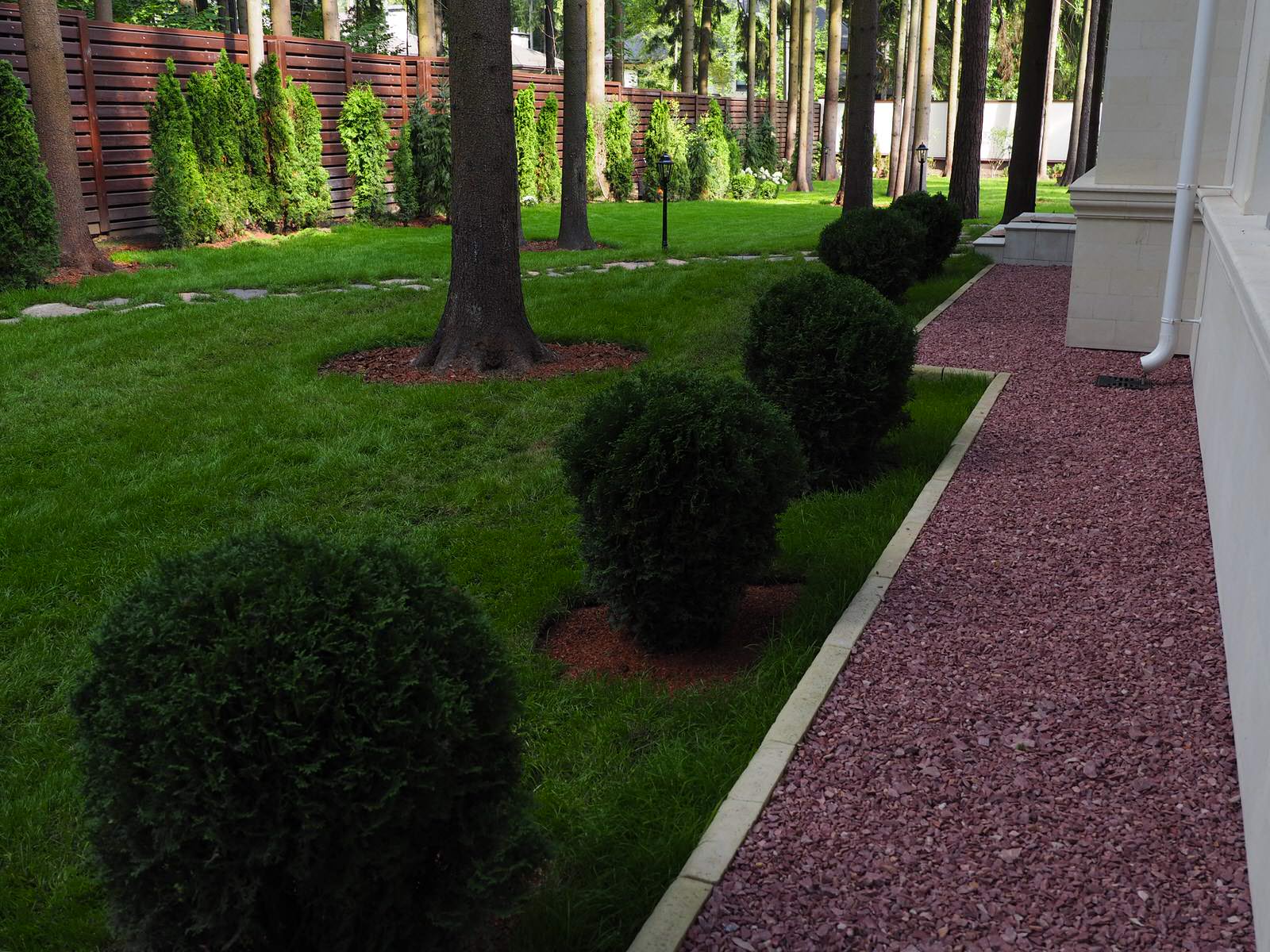 Проект Грибово