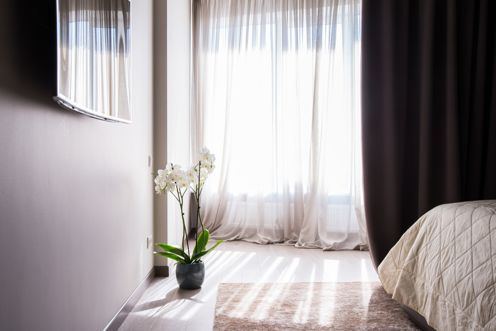 Серый кардинал