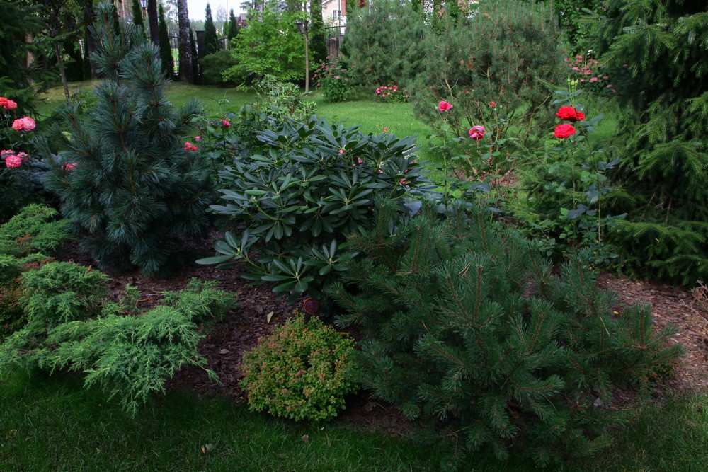 Чисты пруды