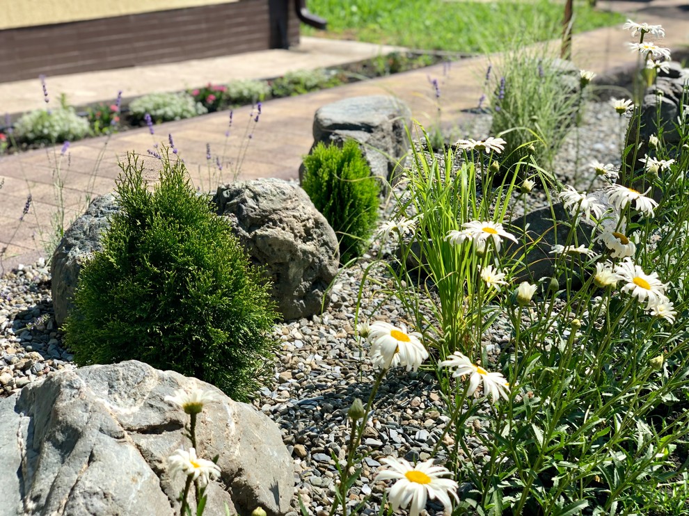 Привет, станица!