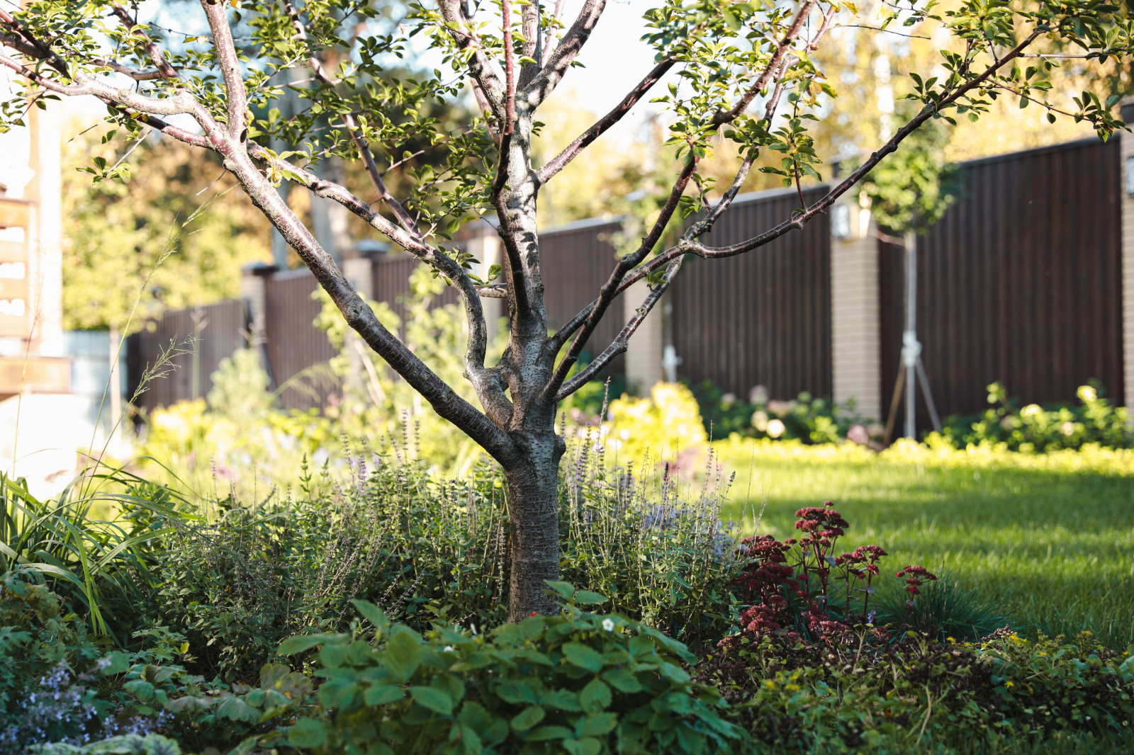 Участок 4 сотки, благоустройство и ландшафт