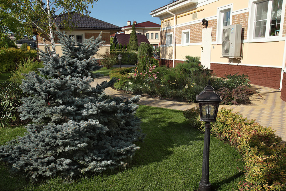 Обложка альбома: Беседки и барбекю