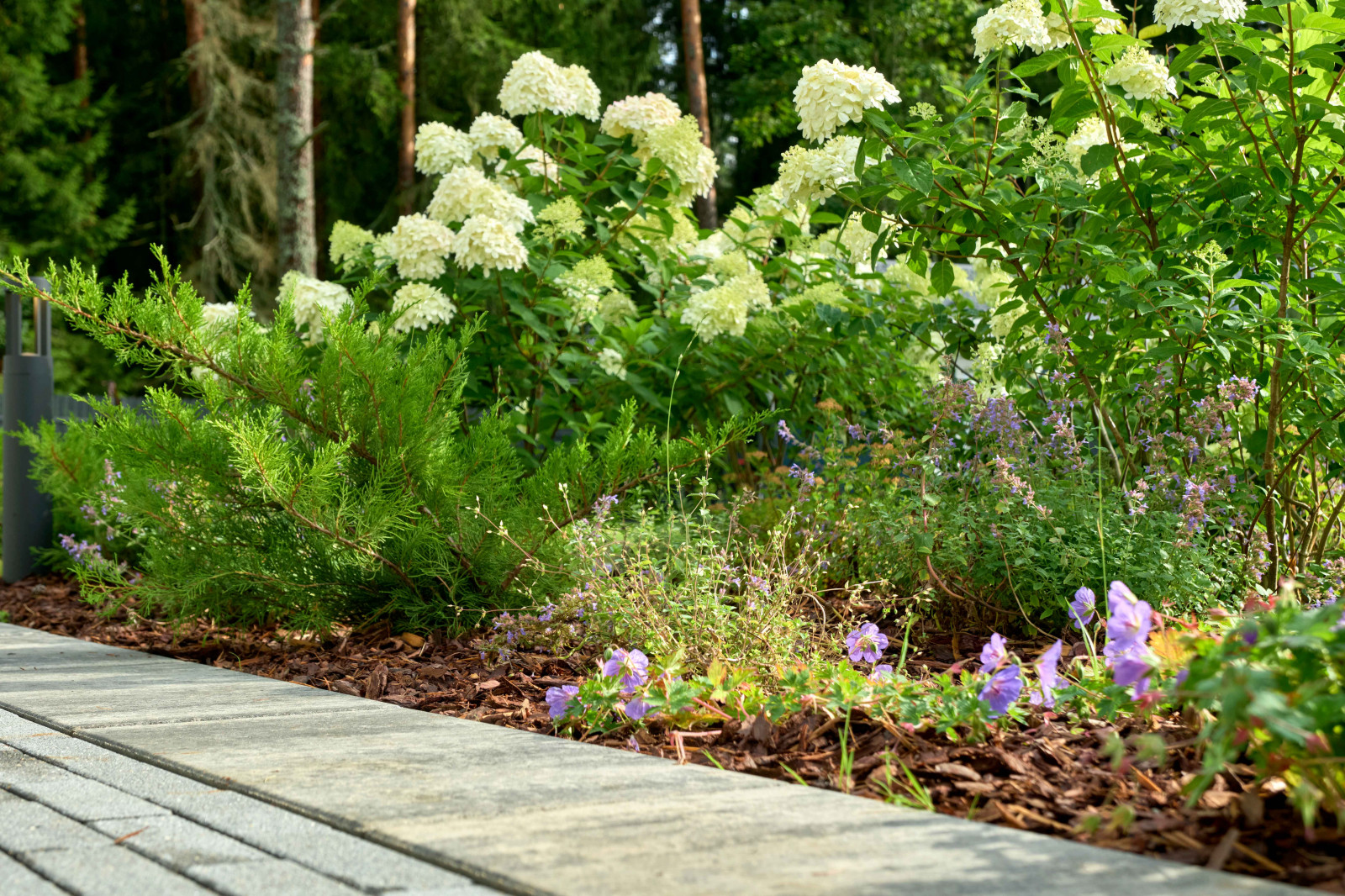 Обложка альбома: Мои идеи