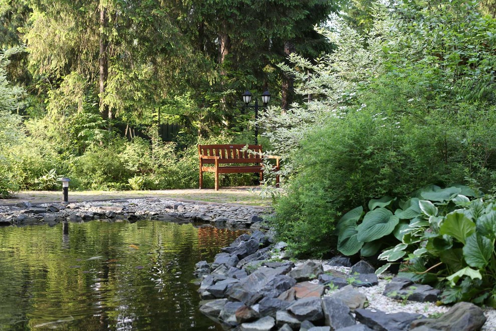 В гостях у леса