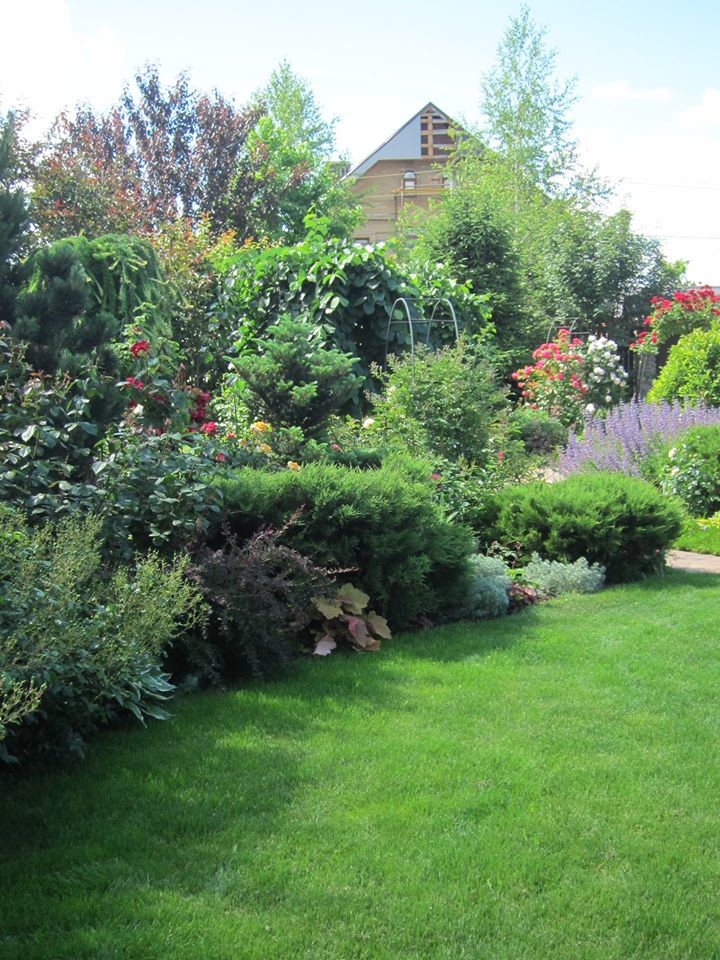 Ландшафт в пейзажном стиле с плавательным прудом 12 соток