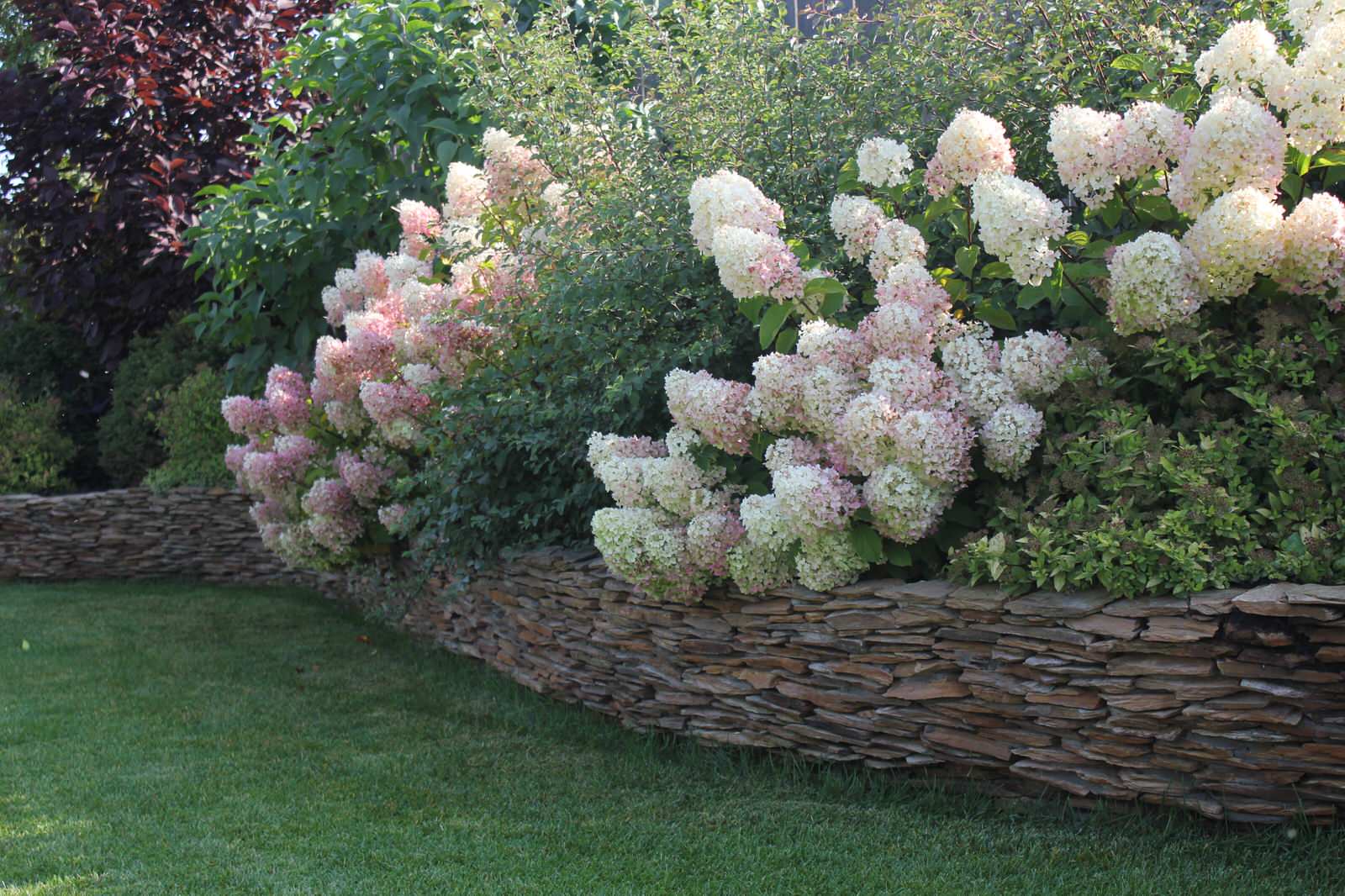 В гостях у Сказки