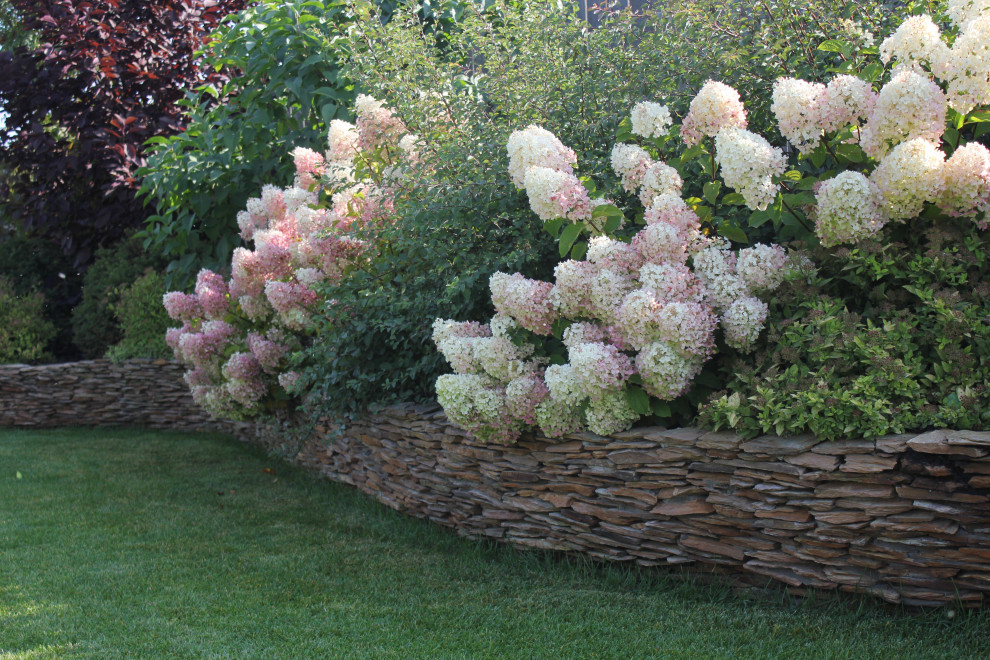 В гостях у Сказки