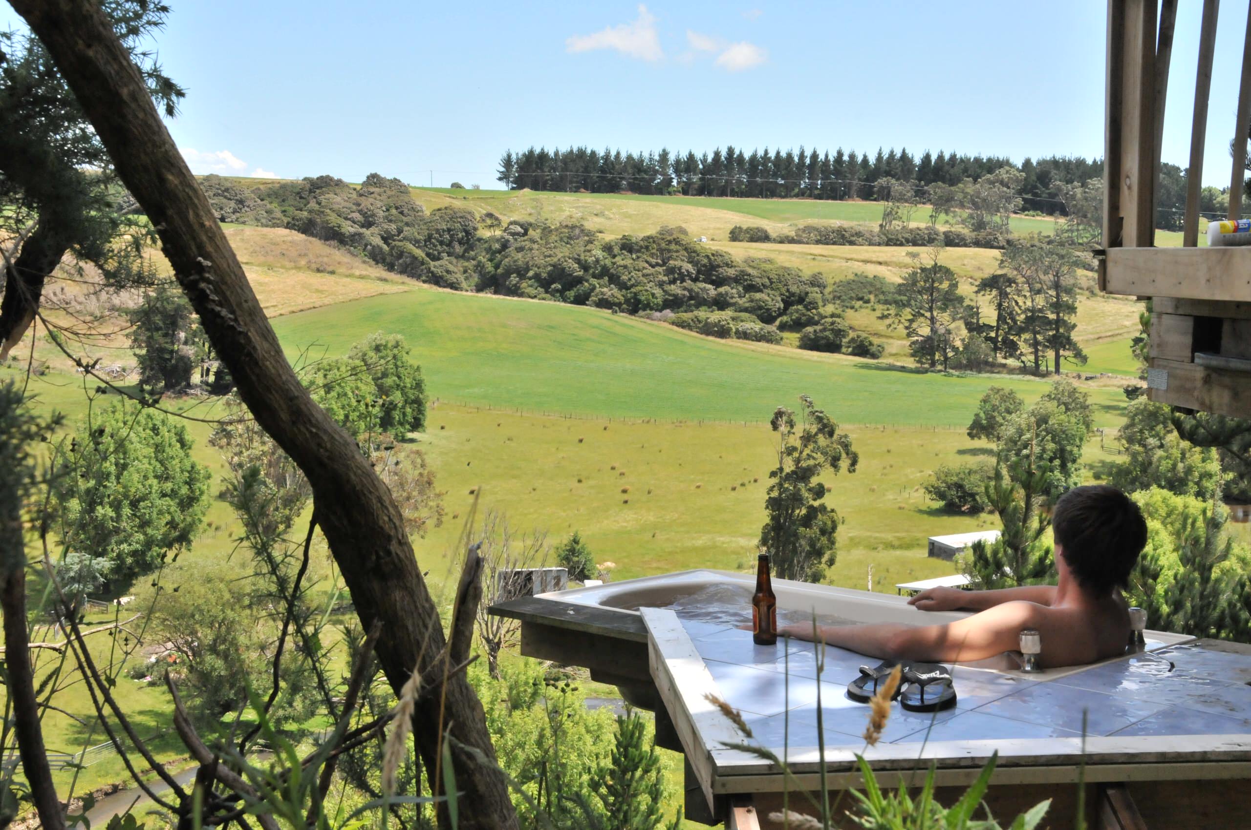 Мир дизайна: 10 домов на деревьях — на радость детям и взрослым