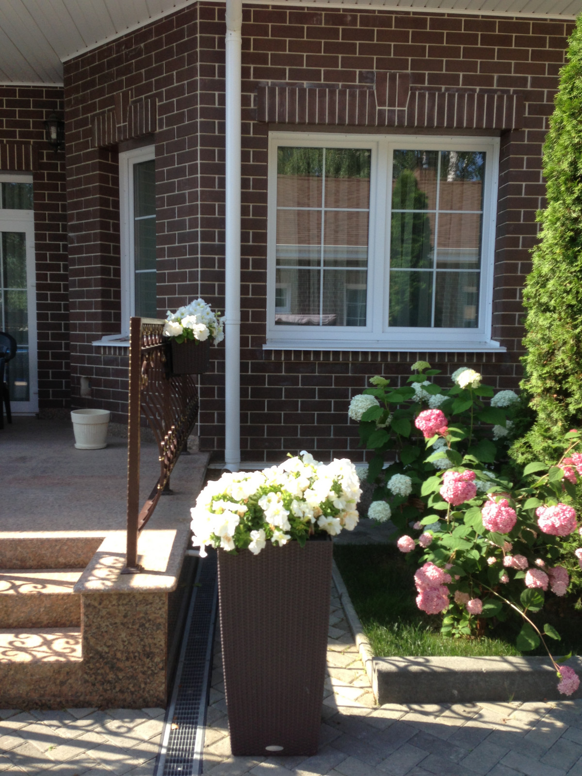 Вавиловец 1