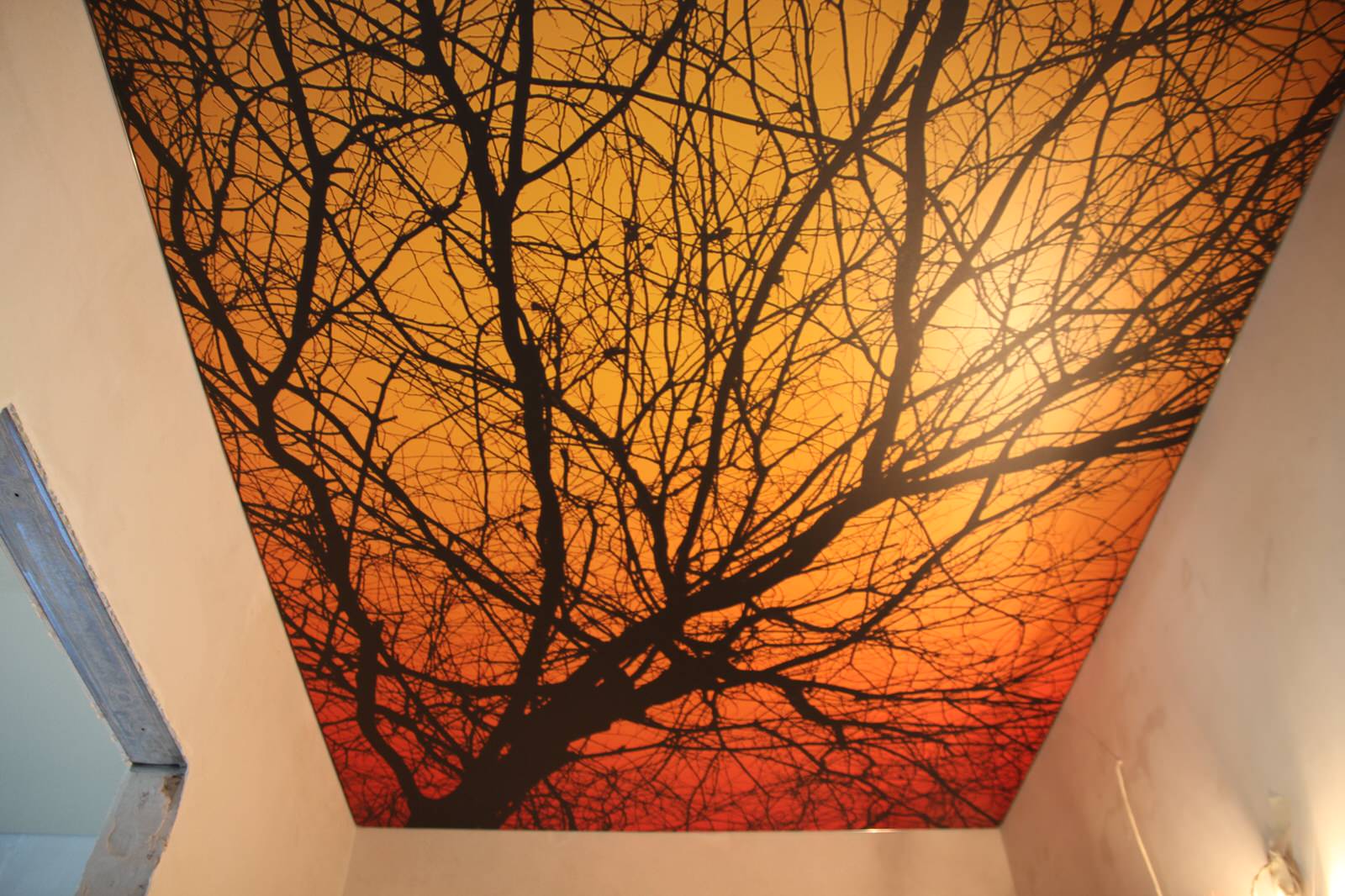 Натяжные потолки с фотопечатью