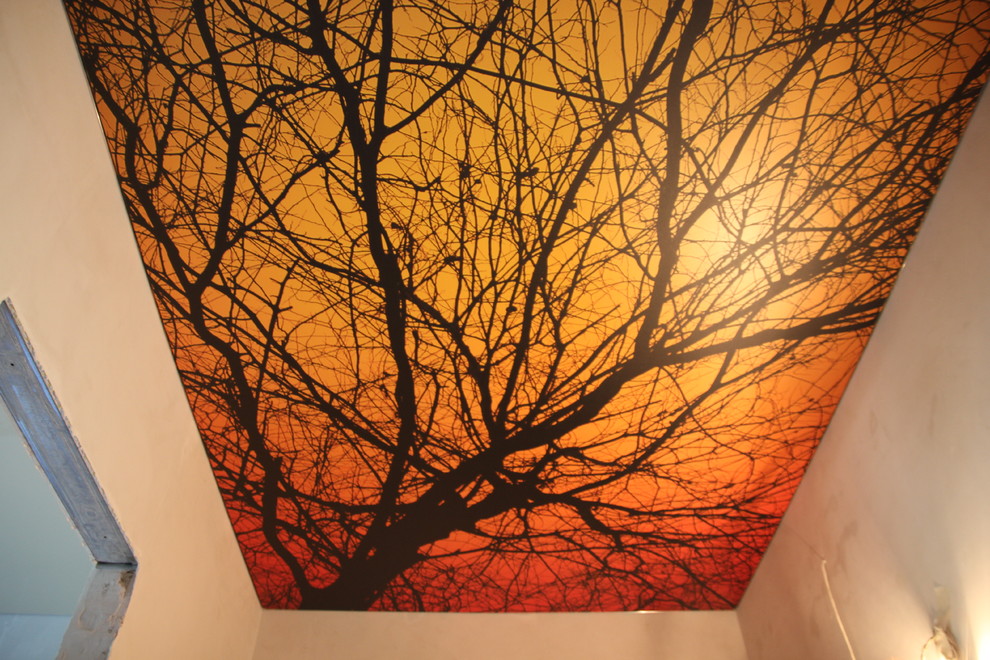 Натяжные потолки с фотопечатью