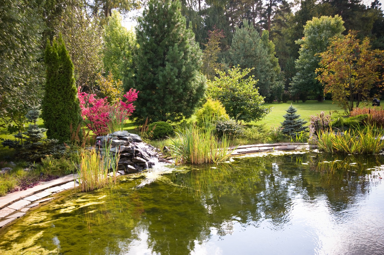 Наши работы