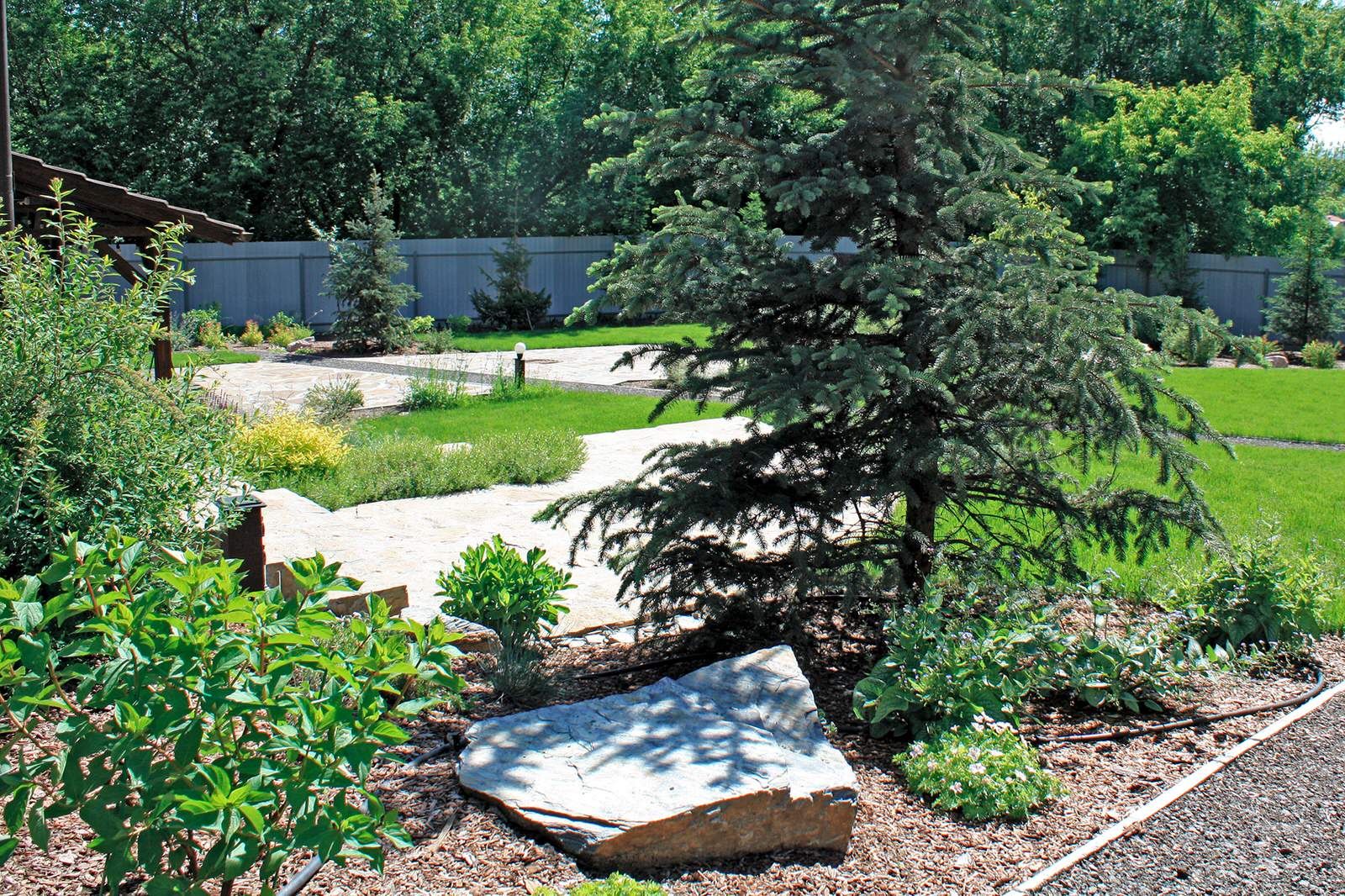 Обложка проекта: Сад Кандинский