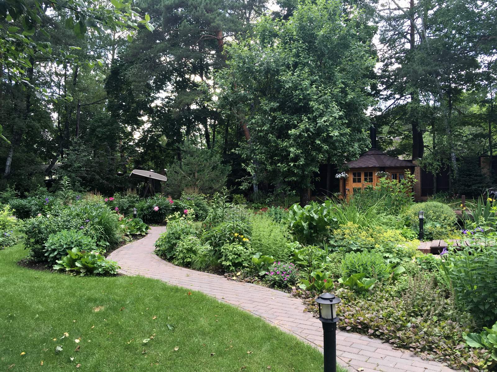 Белкин сад. Лето 2019