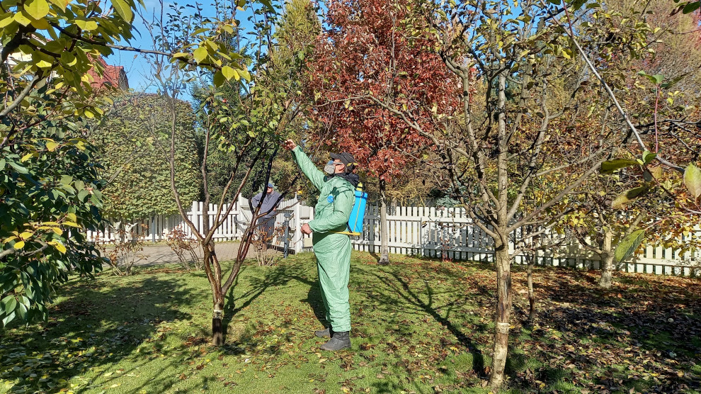 Обложка проекта: Наши работы