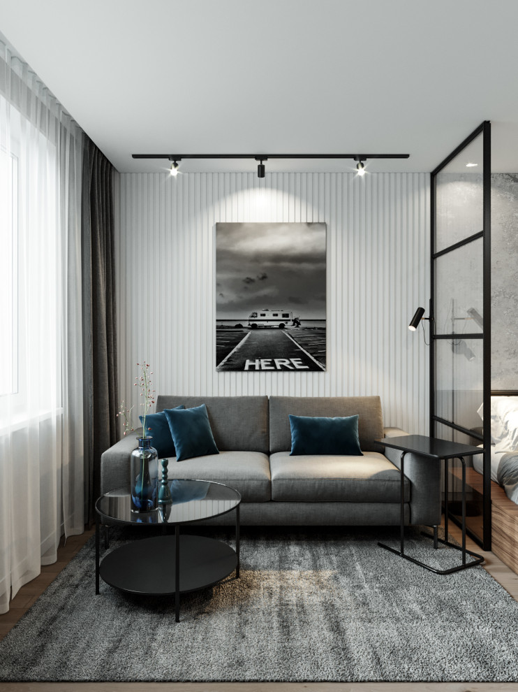 Студия для холостяка