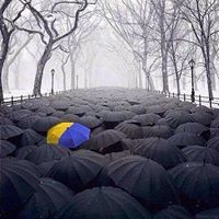 Володимир Нечай