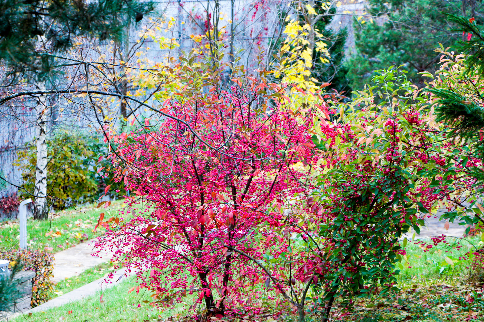 Лобаново, 2012-2021 гг.