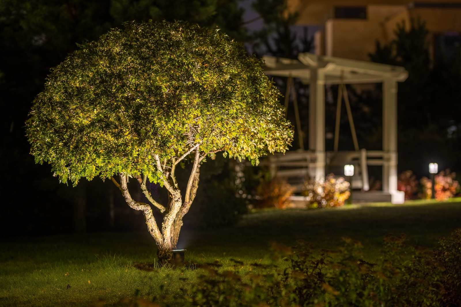 Обложка проекта: Ландшафтная подсветка участка в КП Ренессанс Парк