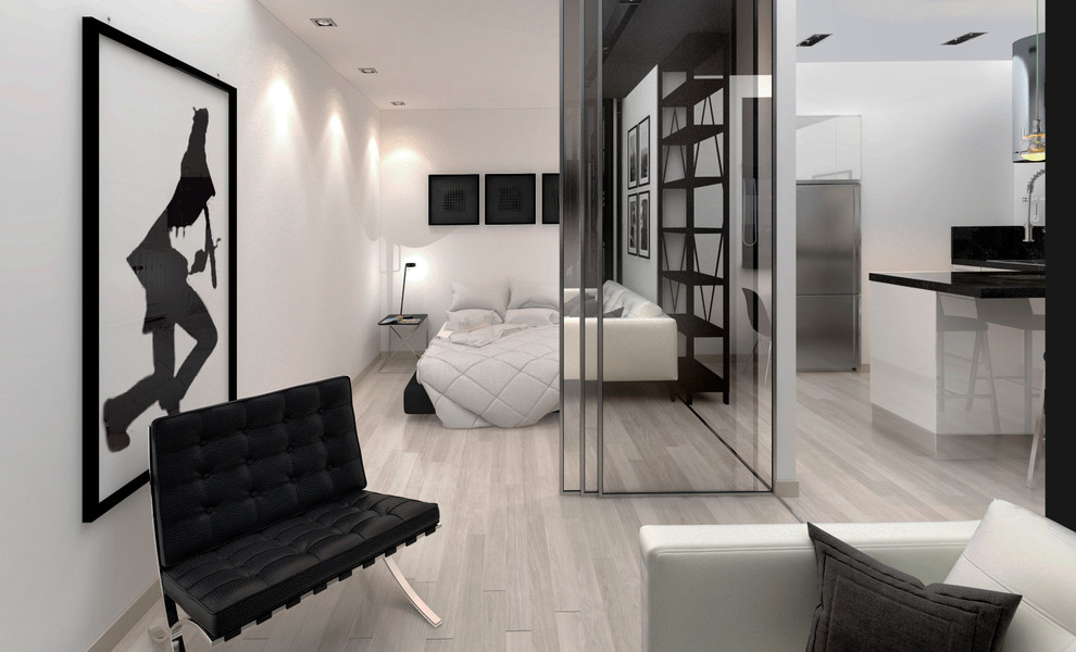 Дизайн апартаментов в стиле black&white. 2013 г. - по мотивам фильма "Американск