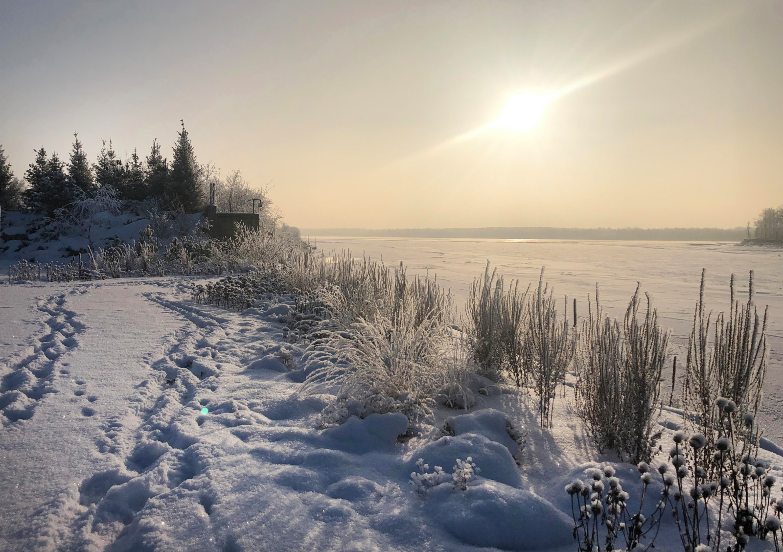 Сад Кроличья нора. Зима