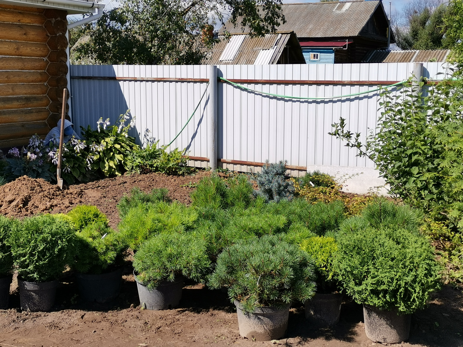 Кокшайск. Пергола – качель, шпалерный забор и обновление участка.