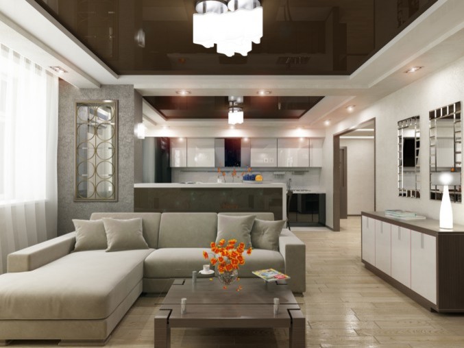 Кухня-Гостиная-Прихожая