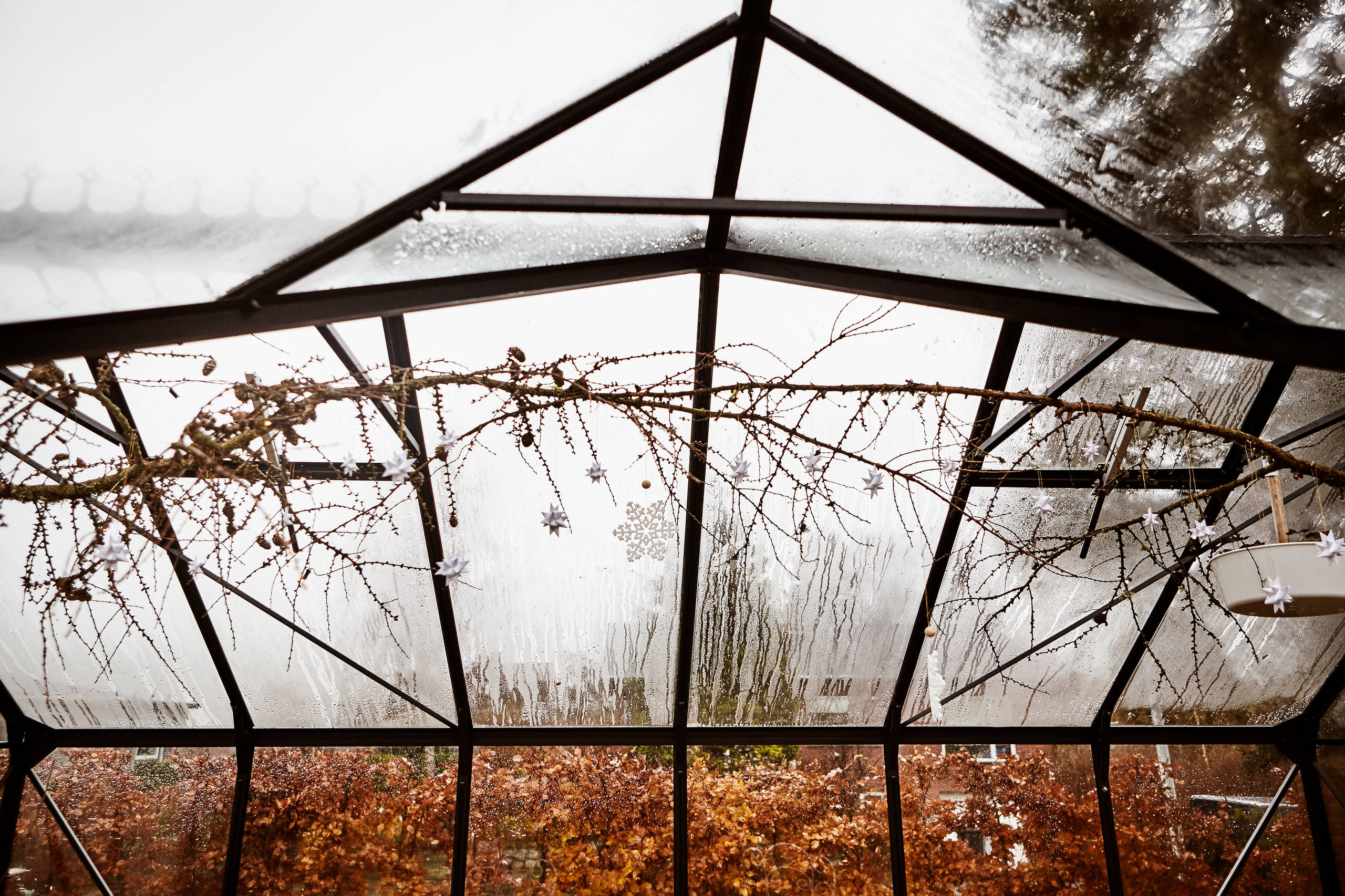 Houzz Дания: Сканди-шик —новогодний декор из природных материалов