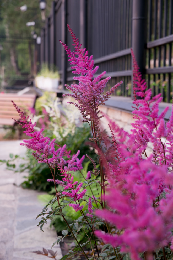 Портреты растений