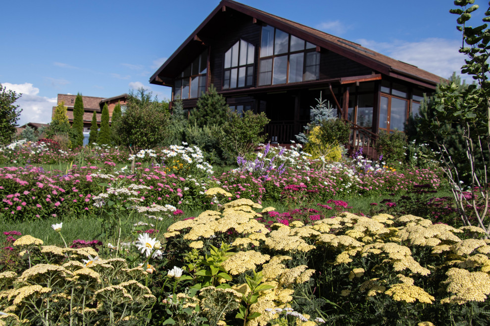 Сосновые берега