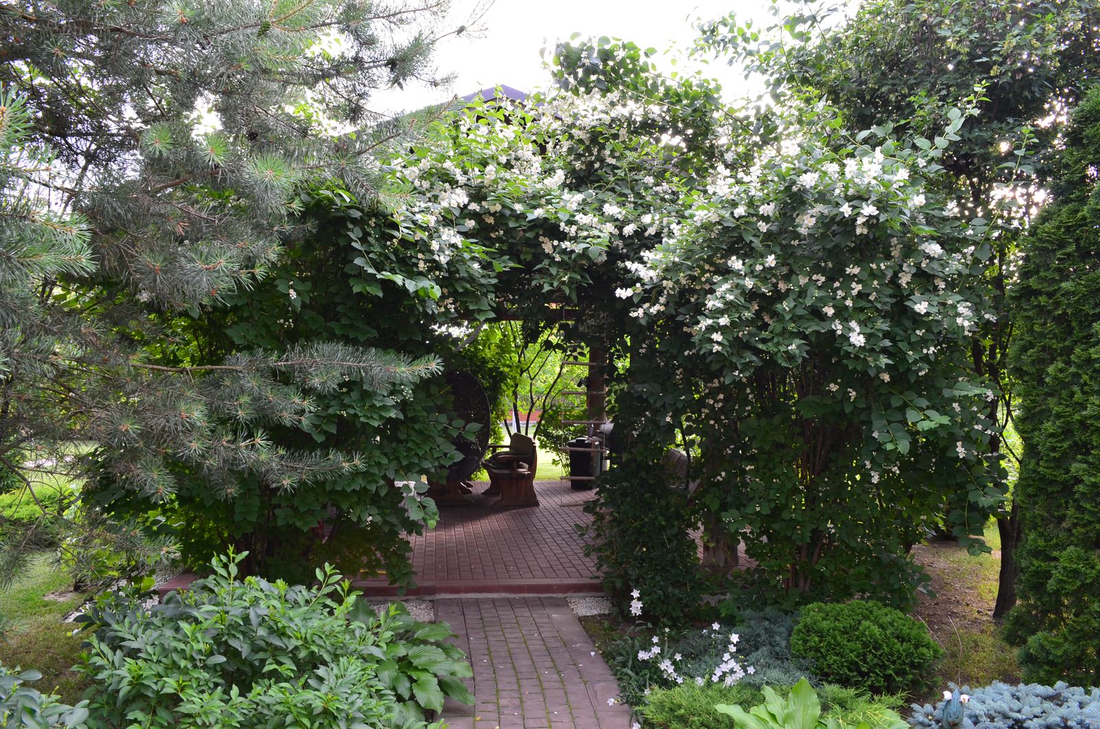 Обложка альбома: ЛАНДШАФТ