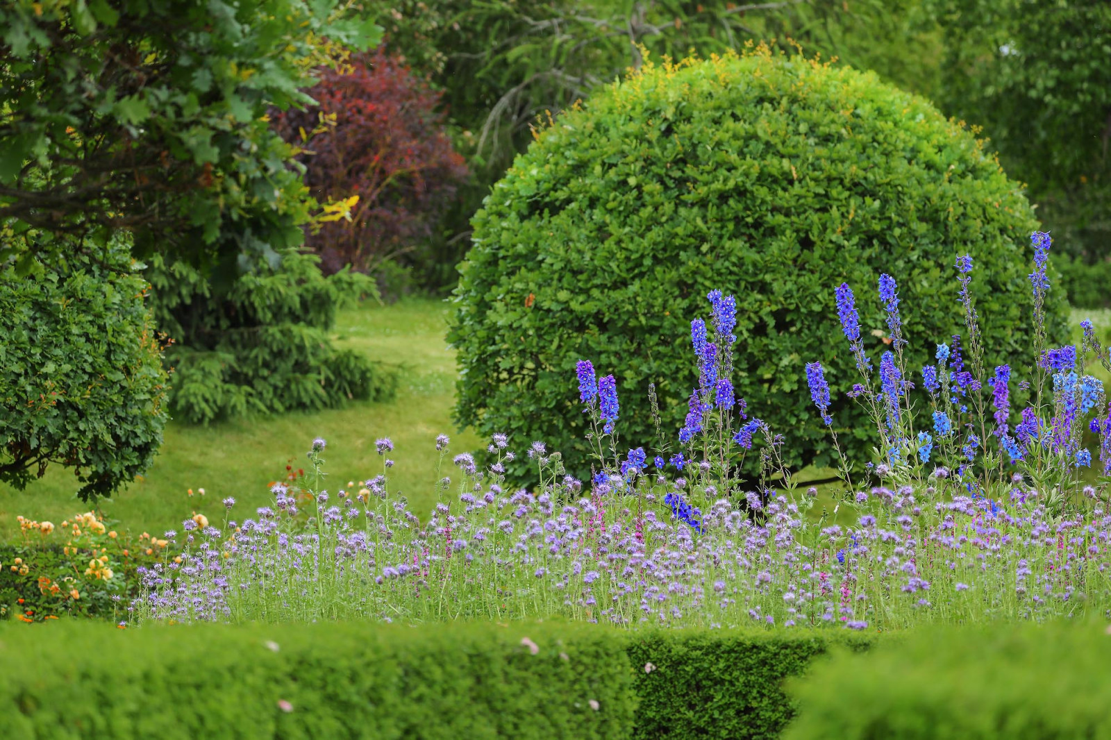 Усадьба Ореховно, Псковская область