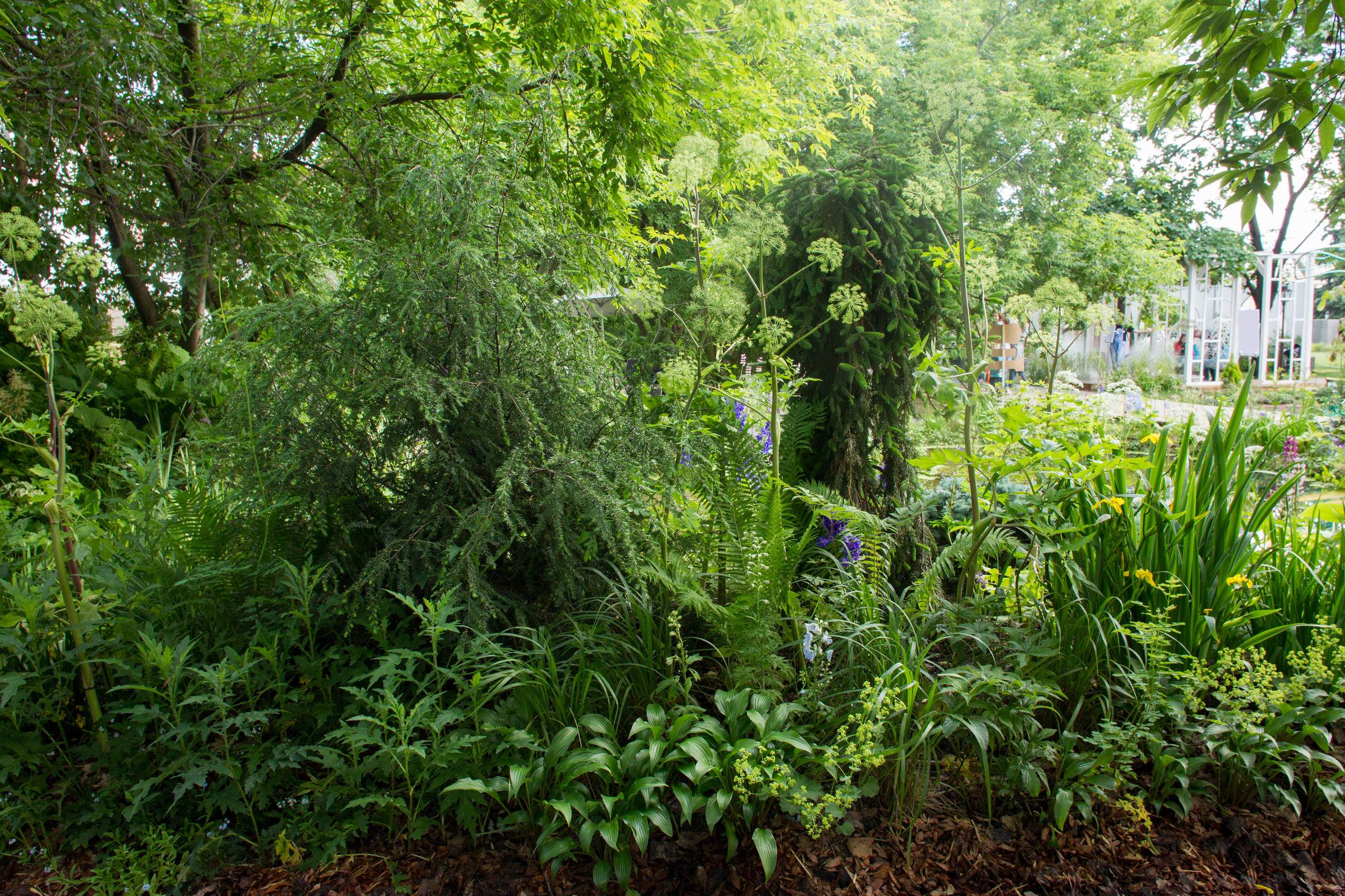 Проект недели: Сад в стиле модерн