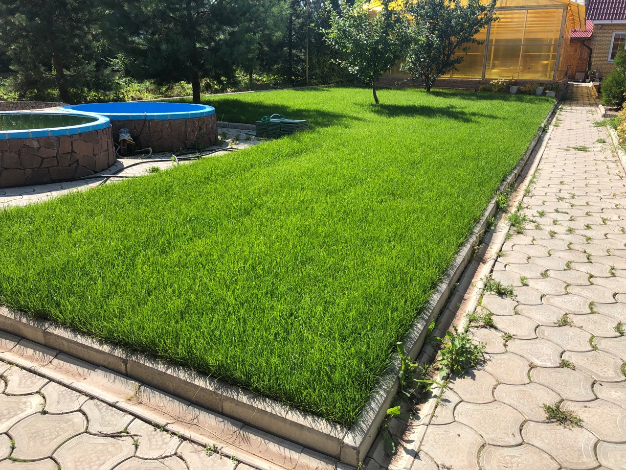 Обложка проекта: Устройство рулонного газона