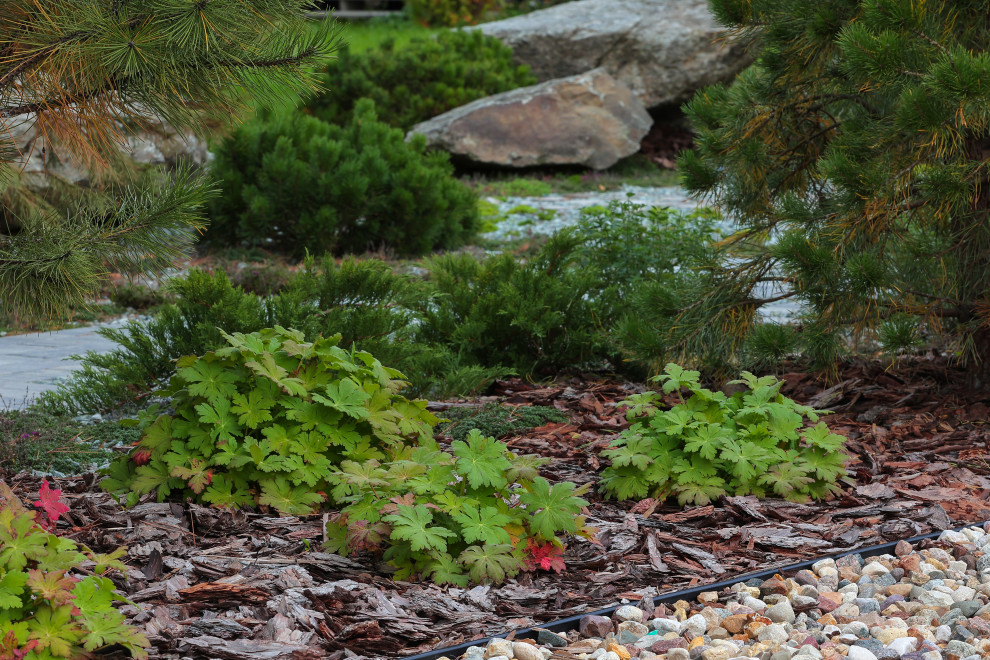 Частный сад в КП "Снегири". Осень.