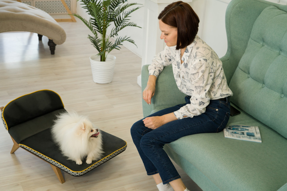 Авторская софа для собак - LIMA