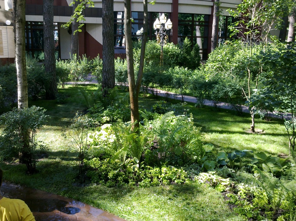 Ландшафтный дизайн 40 соток