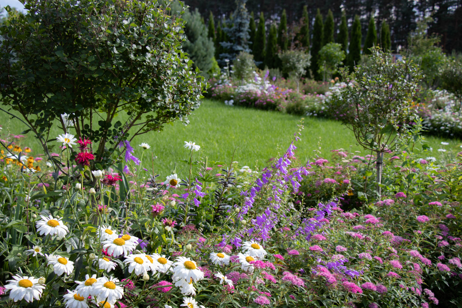 Сосновые берега