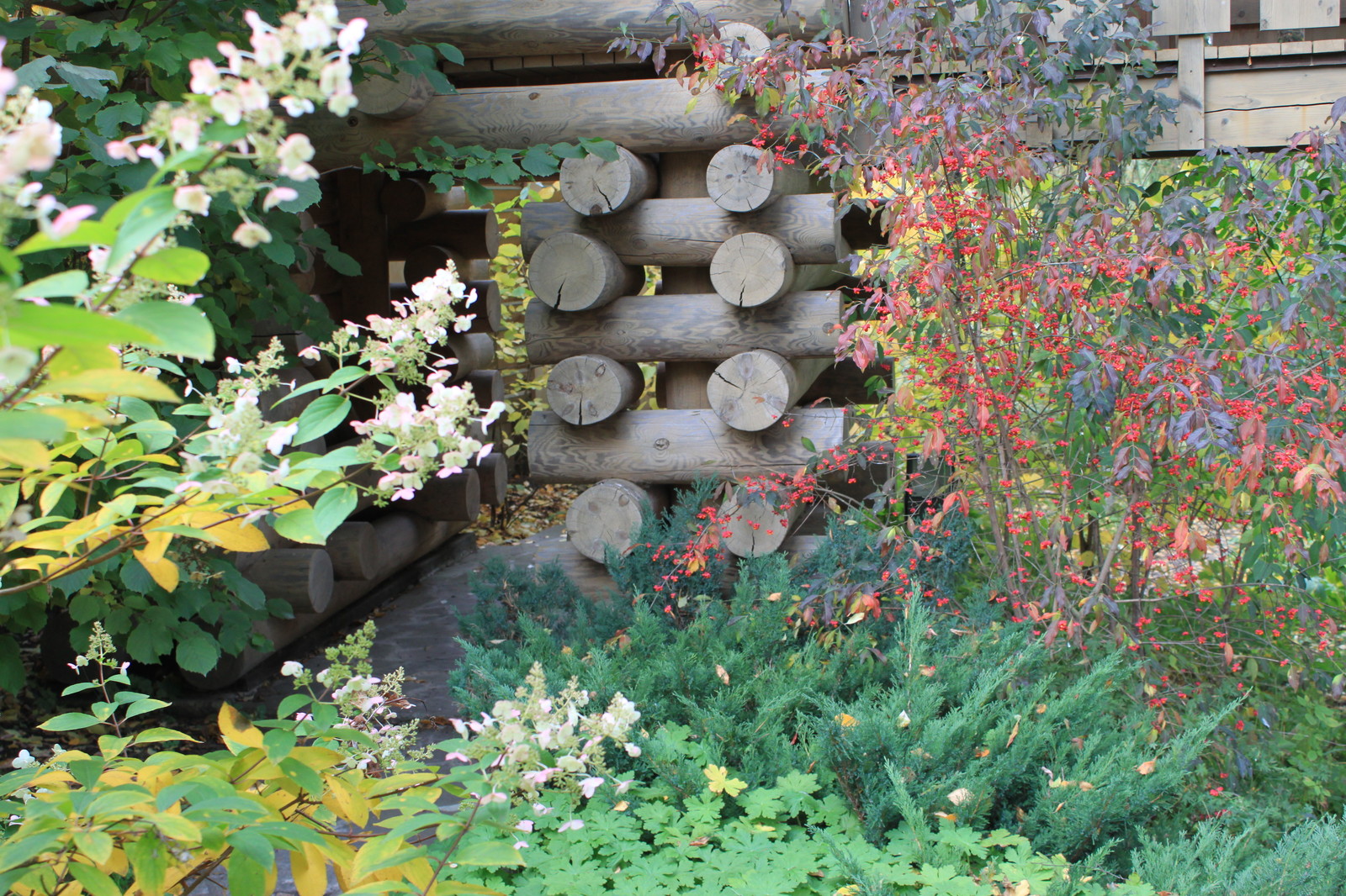 Лесная жизнь