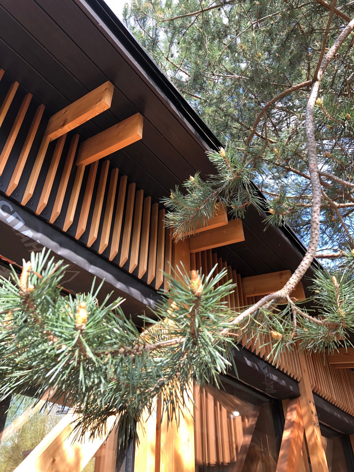 Обложка проекта: Дом в процессе строительства