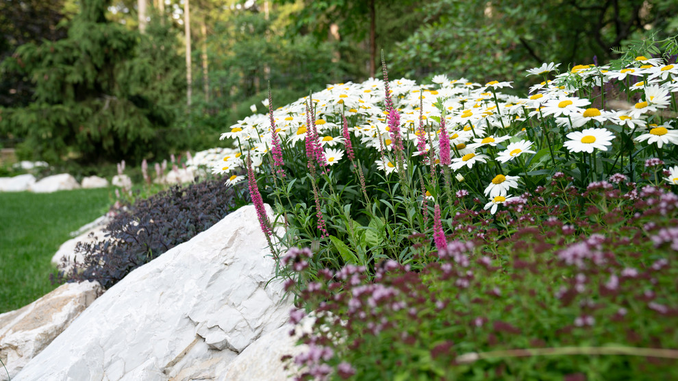 Мечта об Альпах. КП "Вымпел", Новорижское шоссе. 2017 г.