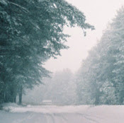 Анна Распопина